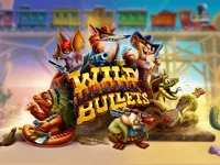 Wild Bullets image